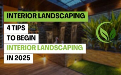 4 Tips To Begin Interior Landscaping