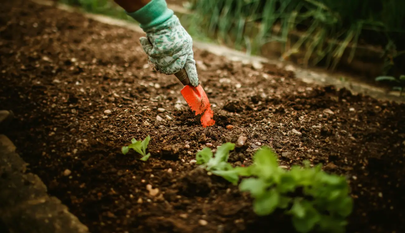 Applying Mulch - Blog Image Applying Mulch Blog Image