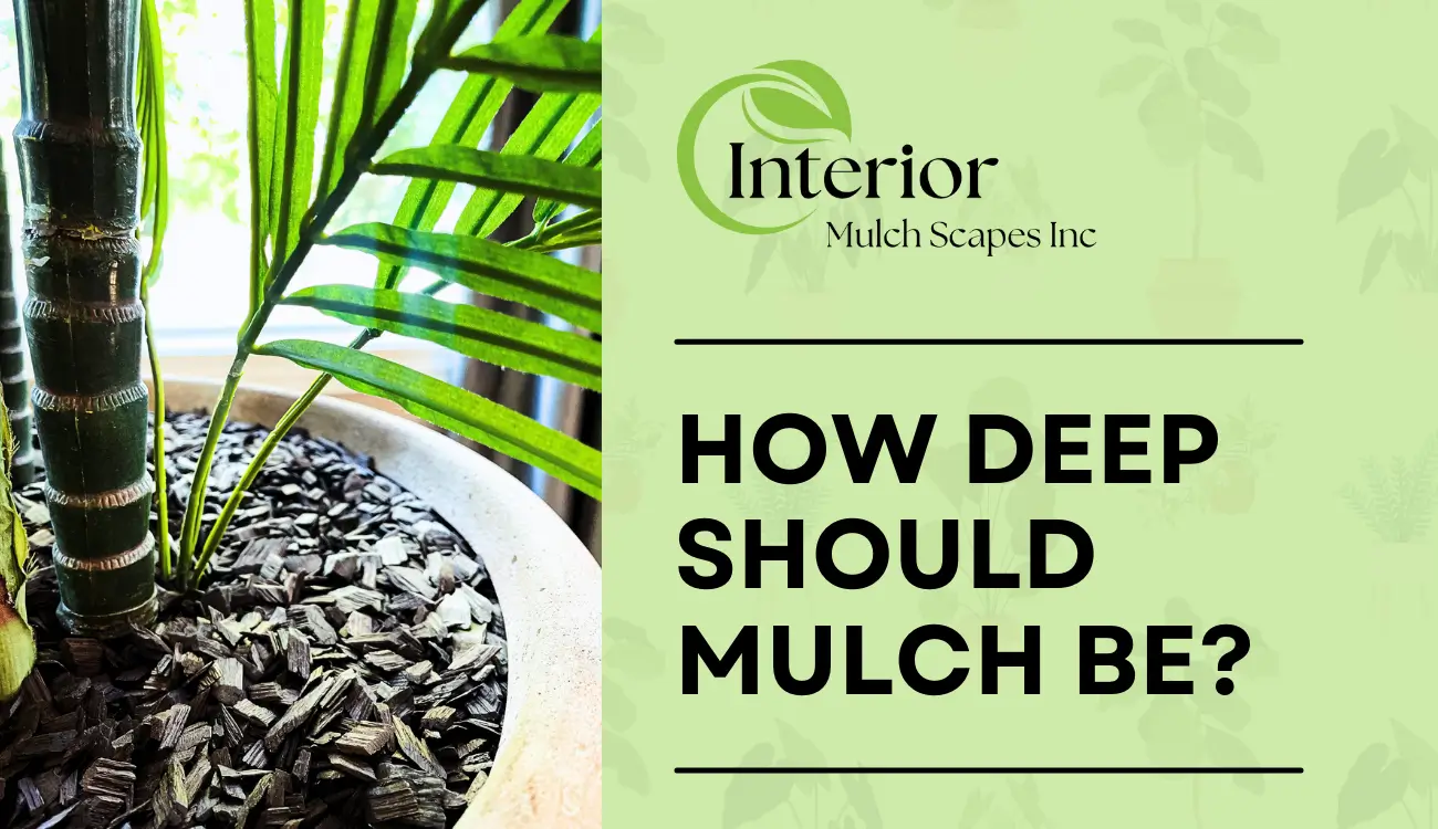 How Deep Should Mulch Be - Blog Image text and logo with an image of pro-toast caramel in a plant in the background