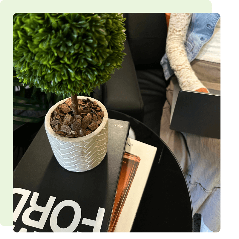 Indoor garden with plants and sunlight 1