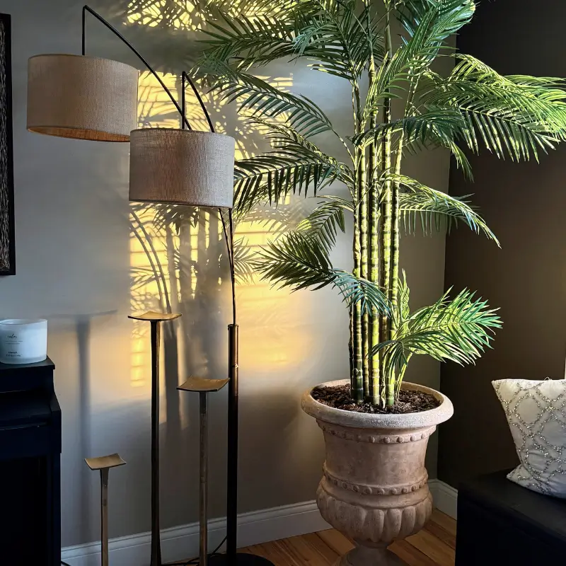 Plant image 1 Plant image 1