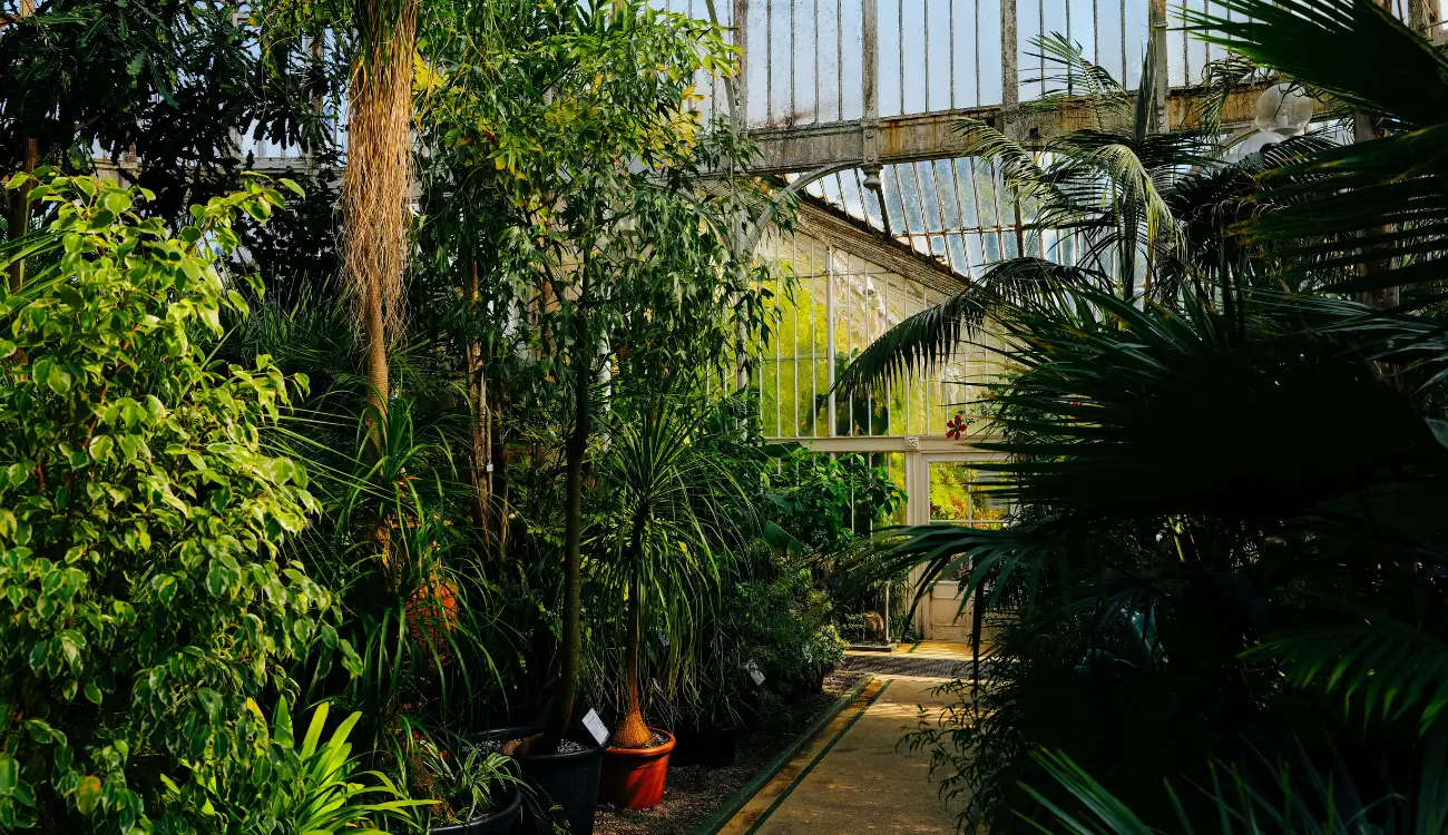 What Is Interiorscaping?